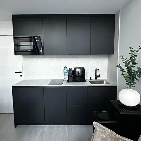 Mono Loft Appartement *